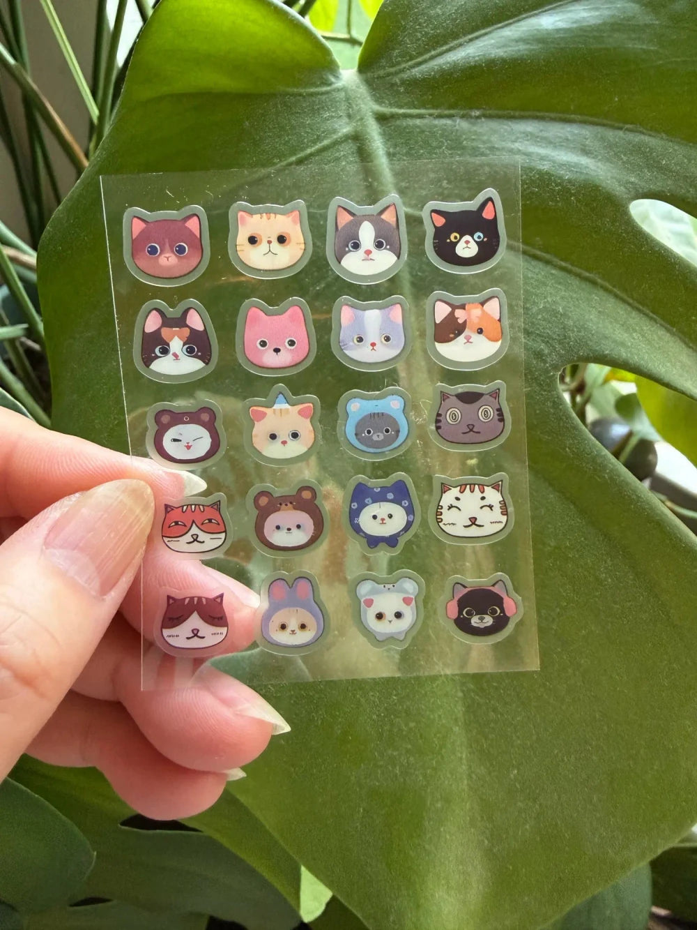 Review Card